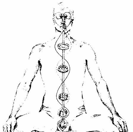 Heart shape formed by Ida and Pingala